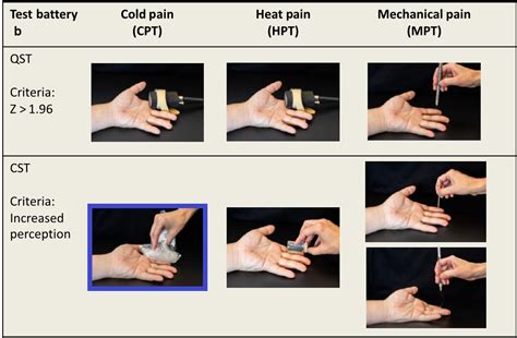 sharp soft test|How to Assess Sensation .